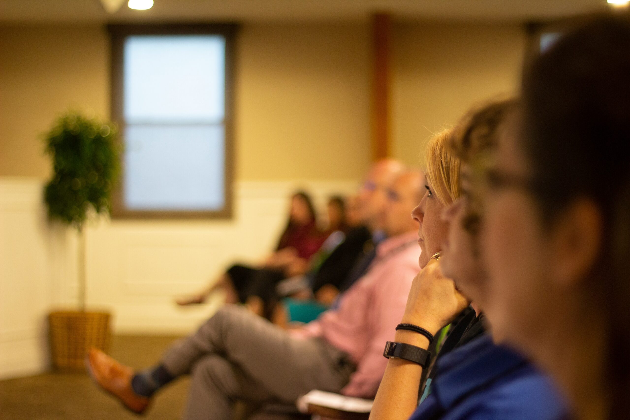 District Buyer Segments in an Underdeveloped Professional Learning Ecosystem